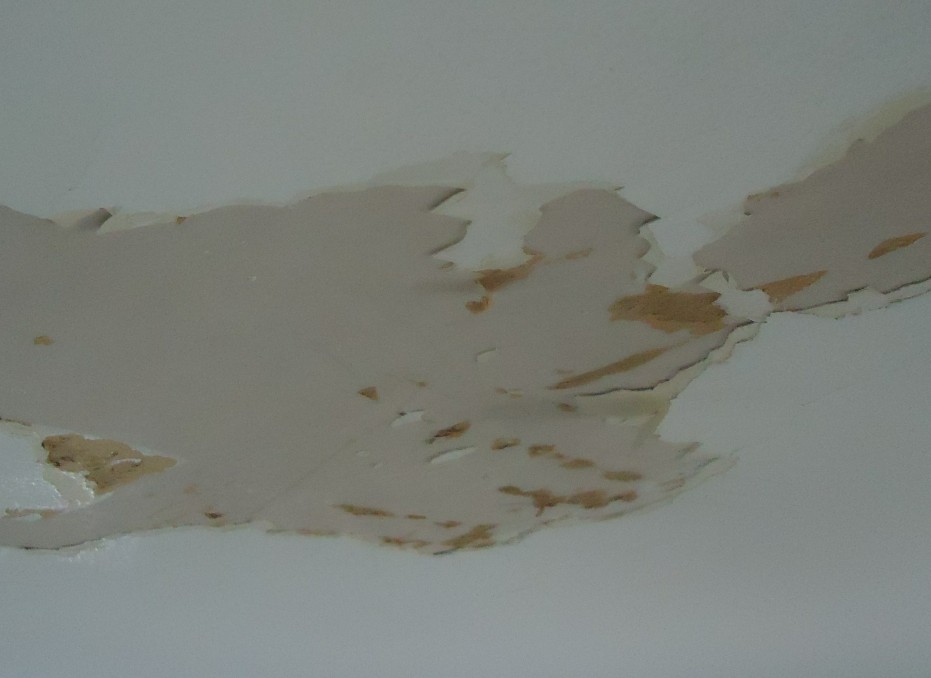 Water-stained ceiling with peeling paint from a slow leak above